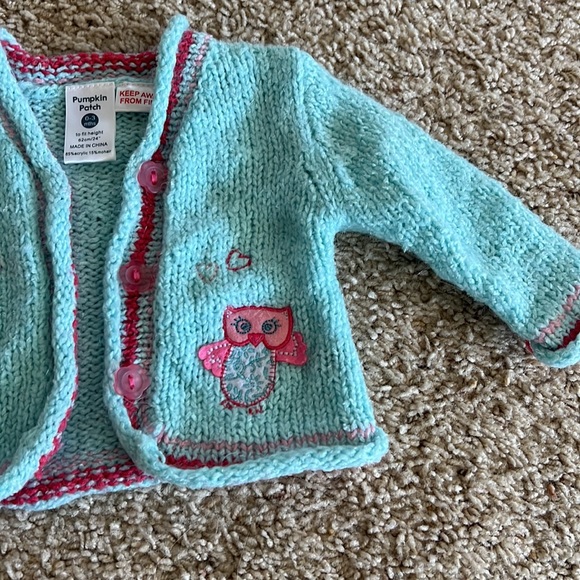 Pumpkin patch sweater - Picture 3 of 5